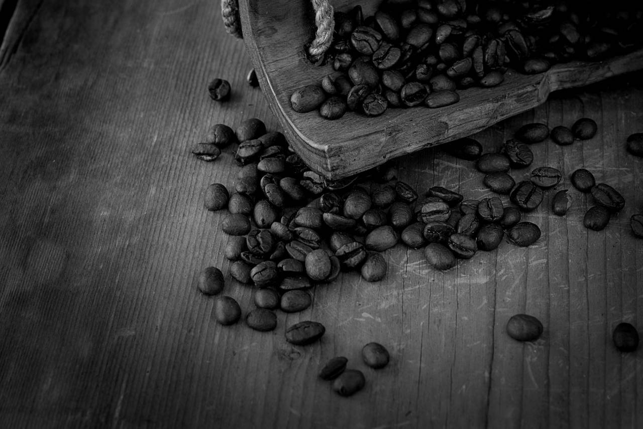   wood  dark  dry  produce  brown  soil  close  — free black and white photo