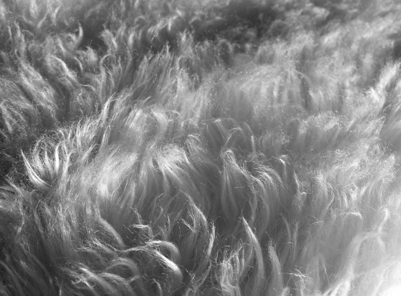   cloud  sky  sun  hair  sunlight  texture  — free black and white photo
