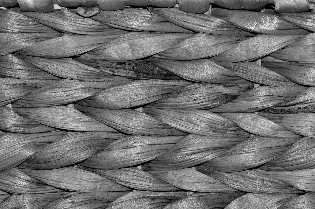   structure  wood  hair  texture  food  — free black and white photo
