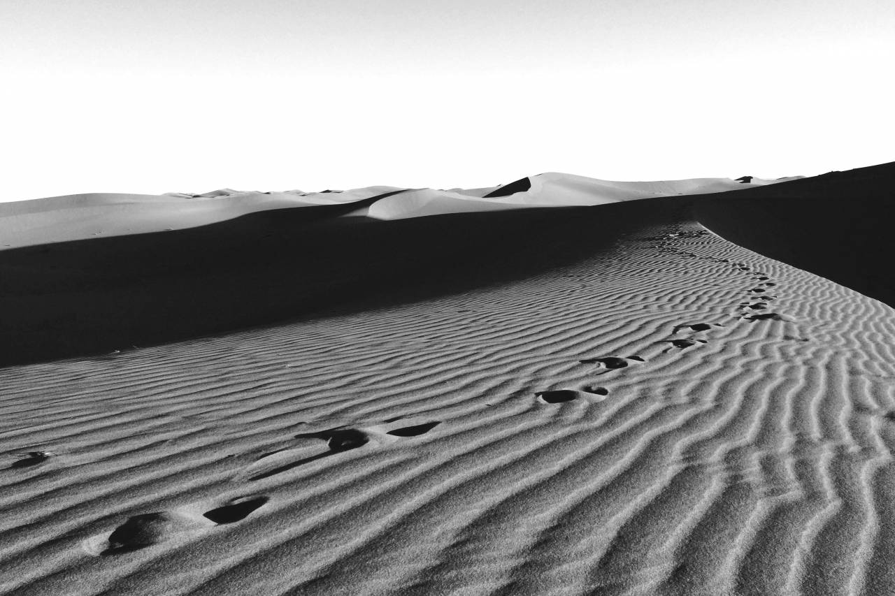 Desert Sand Dunes  — free black and white photo