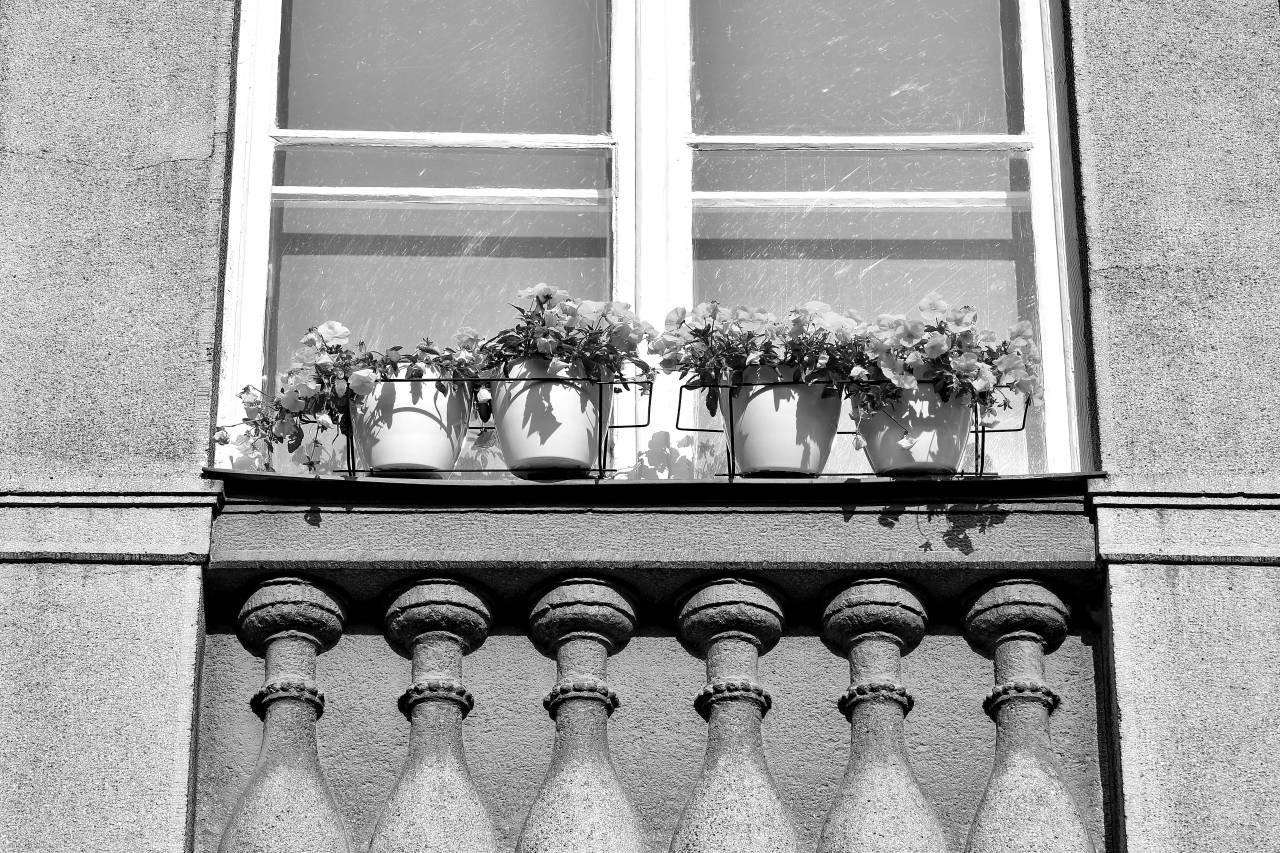 flowerpot balcony facade concrete decoration sill urban architecture windows area street — free black and white photo