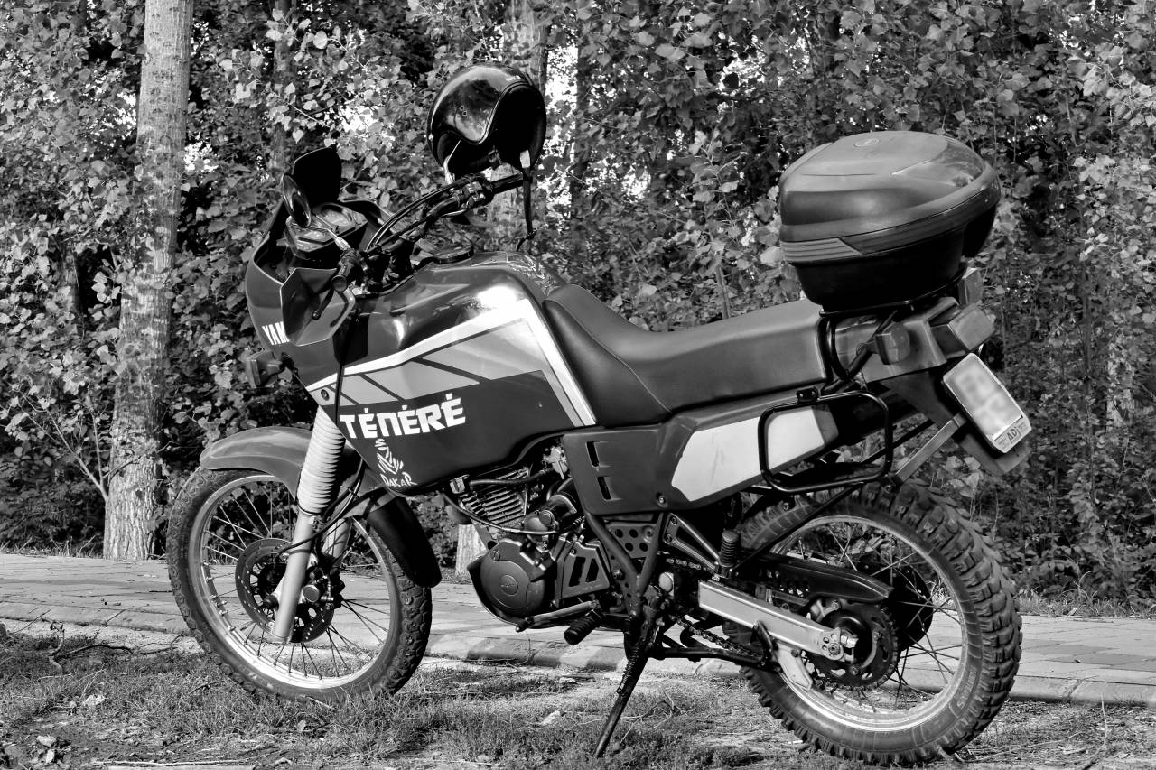 motorcycle moped motocross japanese motorbike wheel rider forest seat vehicle — free black and white photo