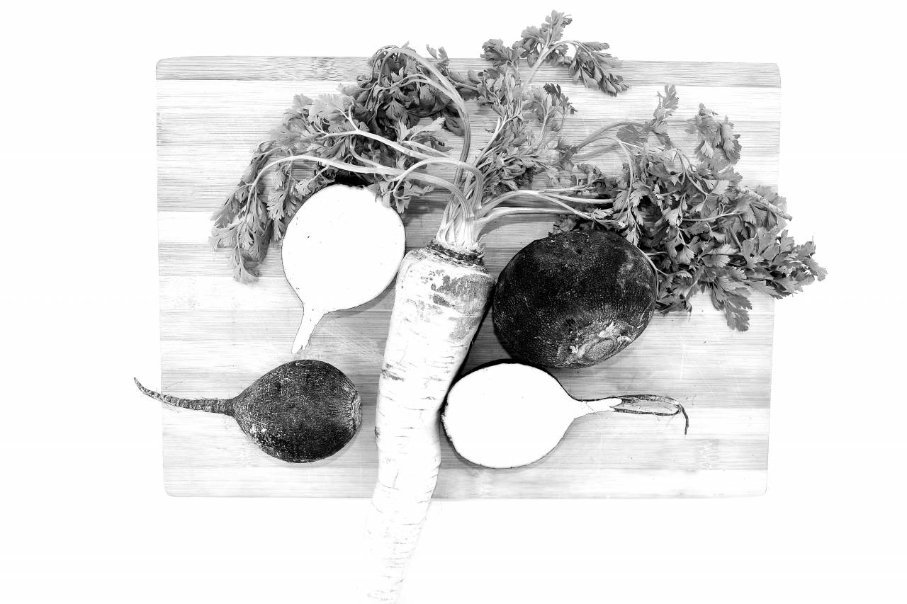 radish parsley vegetable kitchen herb table root leaf cooking health food  — free black and white photo
