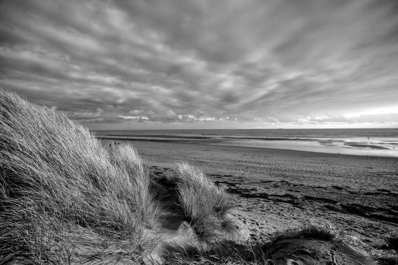 Sand Dunes  — free black and white photo