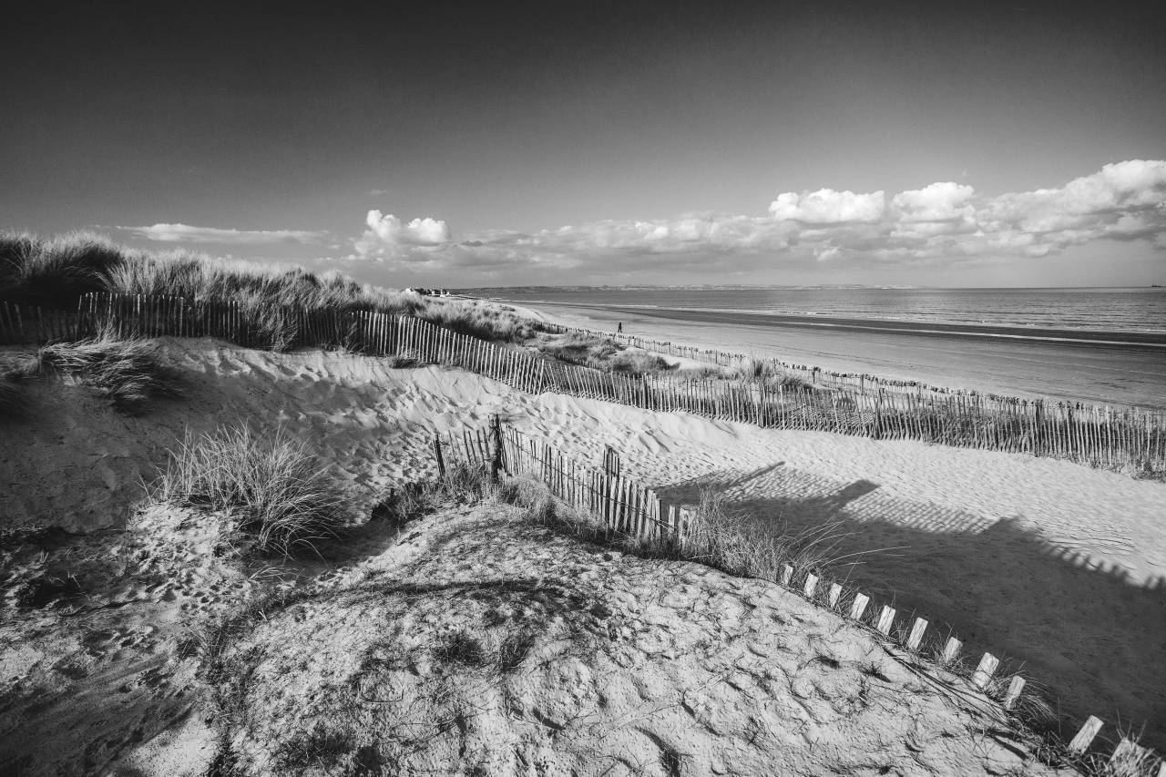 Sand Dunes  — free black and white photo