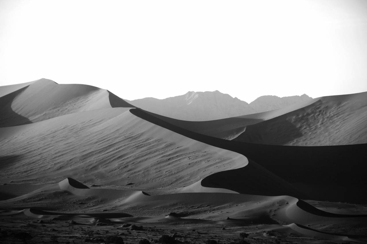Sand Dunes in Desert  — free black and white photo