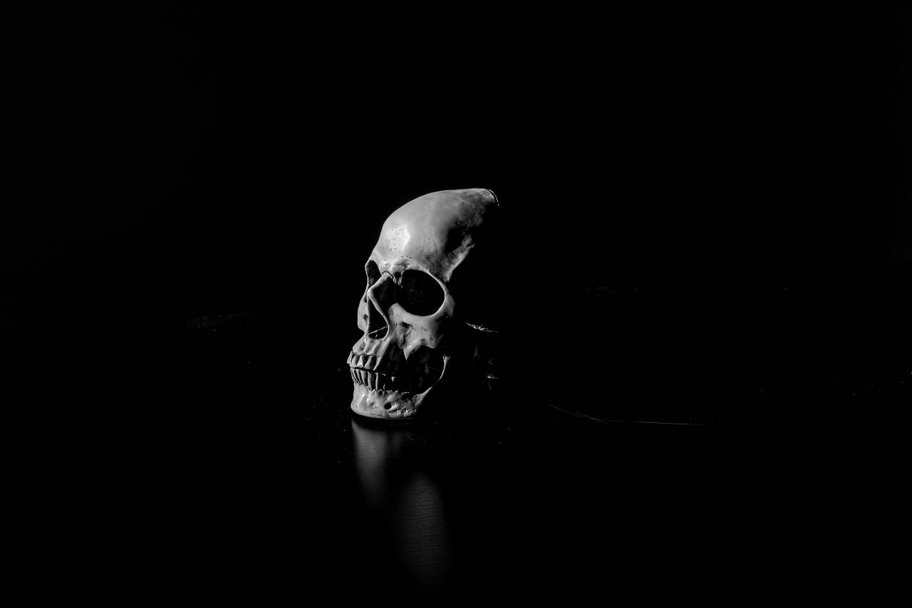   light  white  dark  darkness  blue  black  — free black and white photo