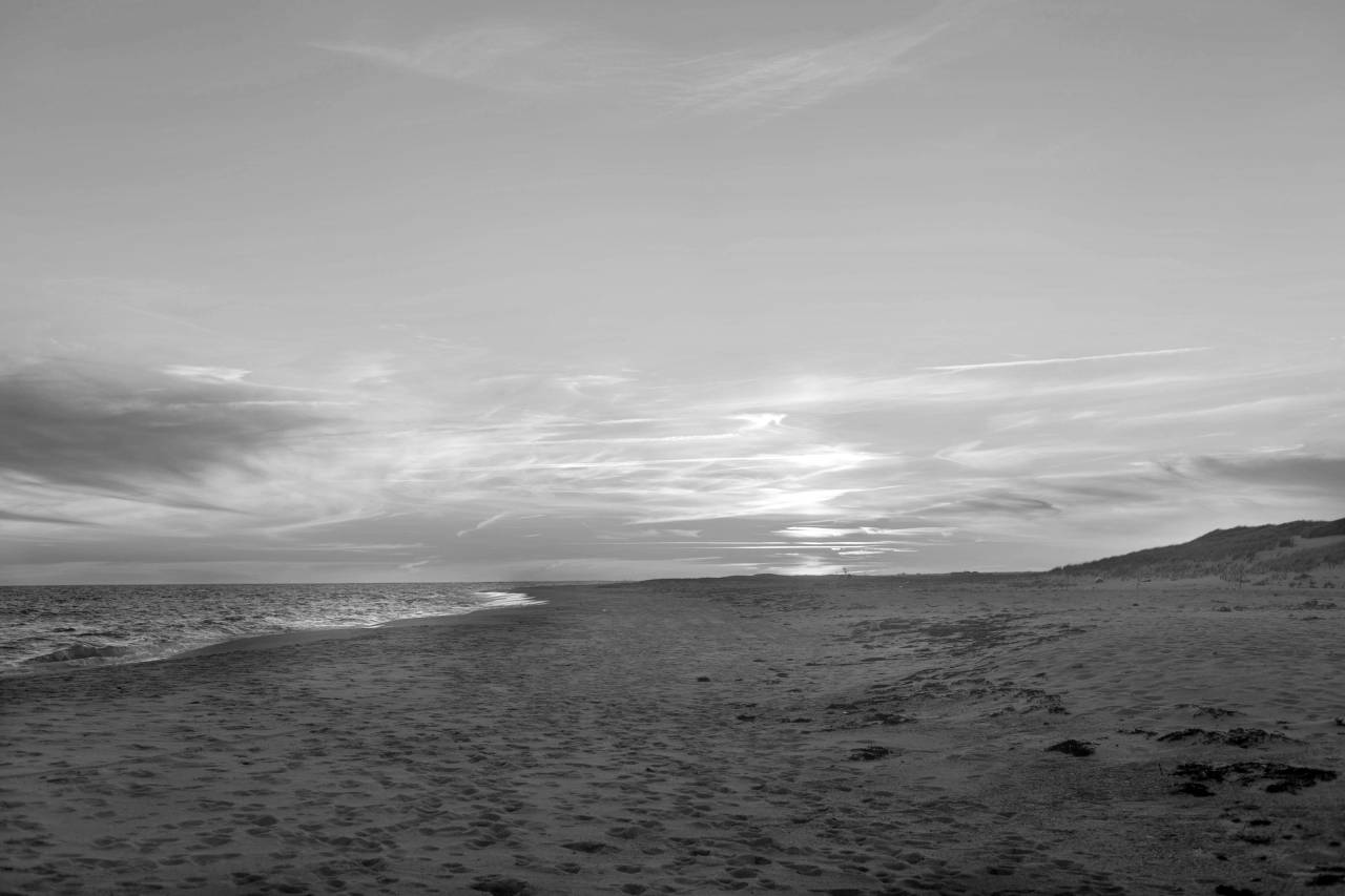 Beach Sunset Sand  — free black and white photo