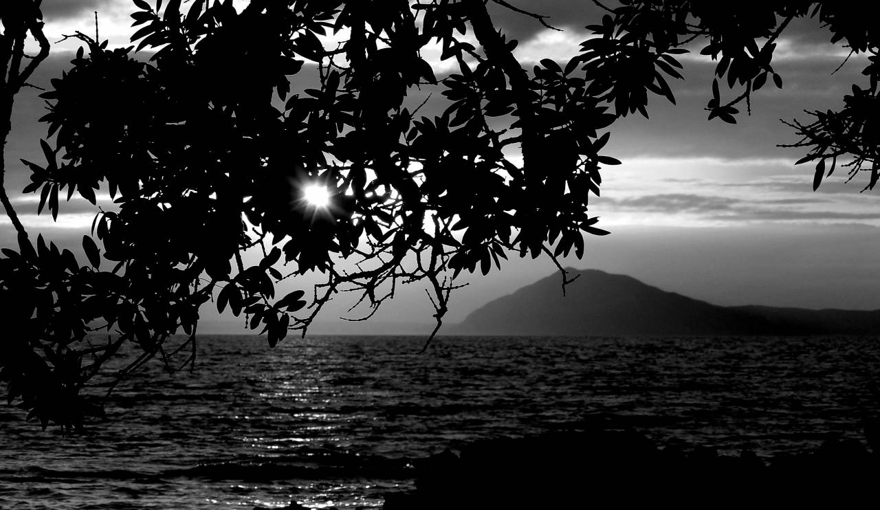 ?Ocean? Sunset Silhouette  — free black and white photo