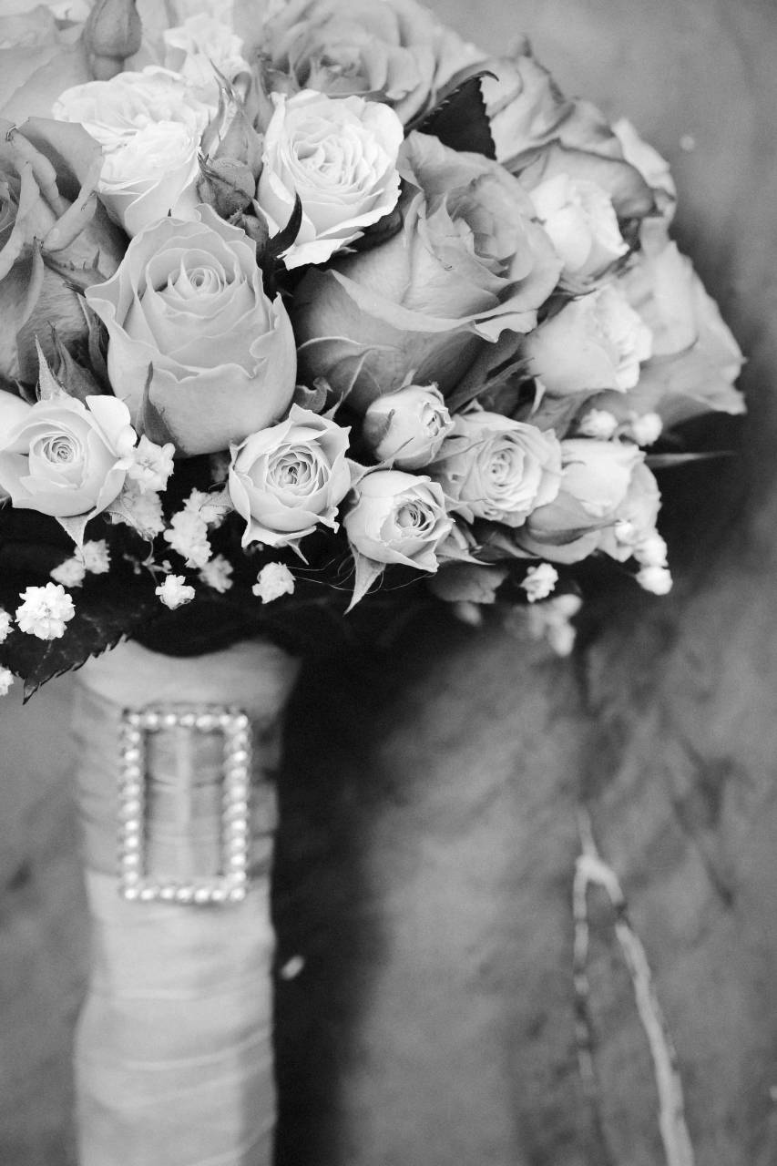 bouquet wedding pastel roses romantic nature rose flowers — free black and white photo