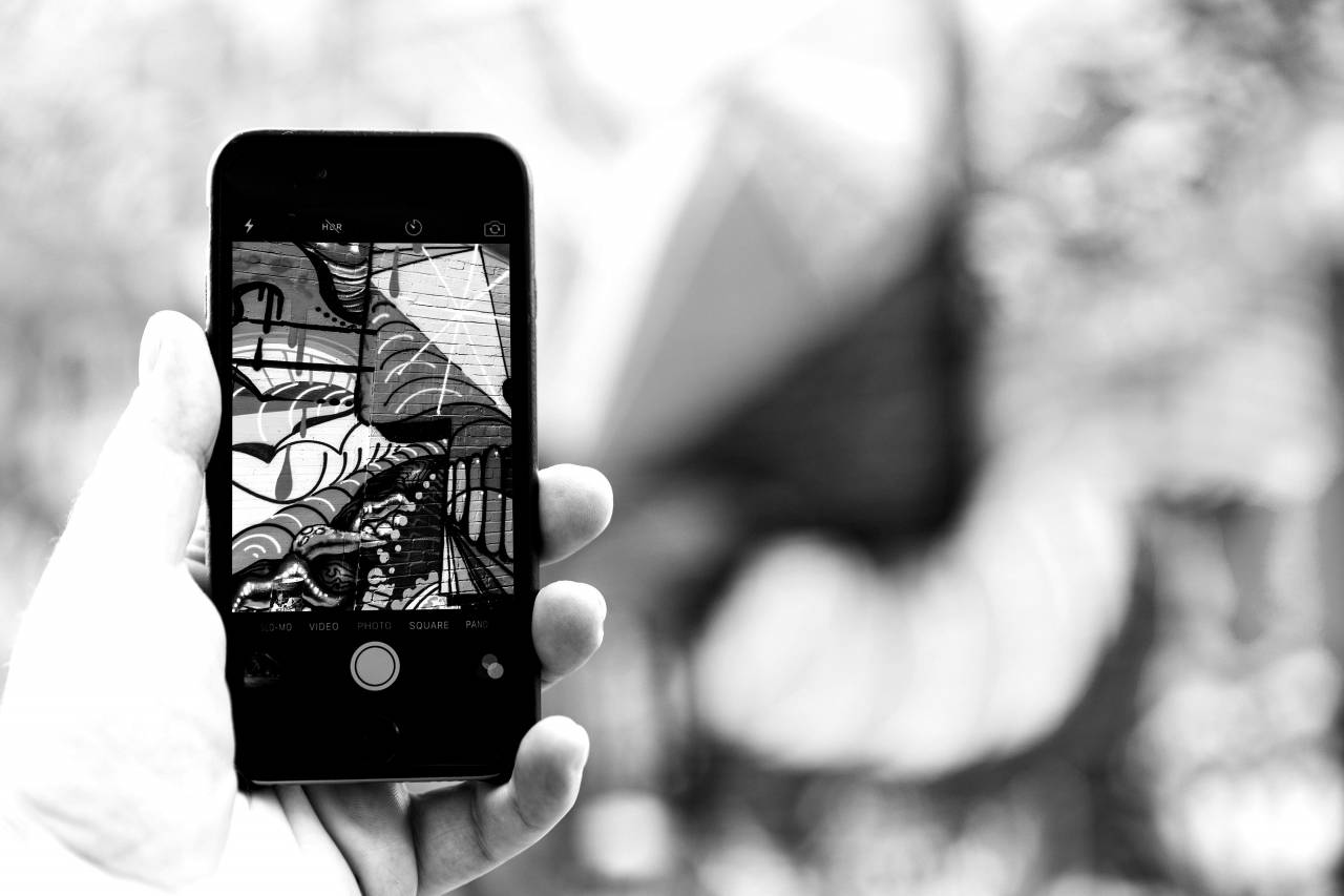 Colour Capture  — free black and white photo