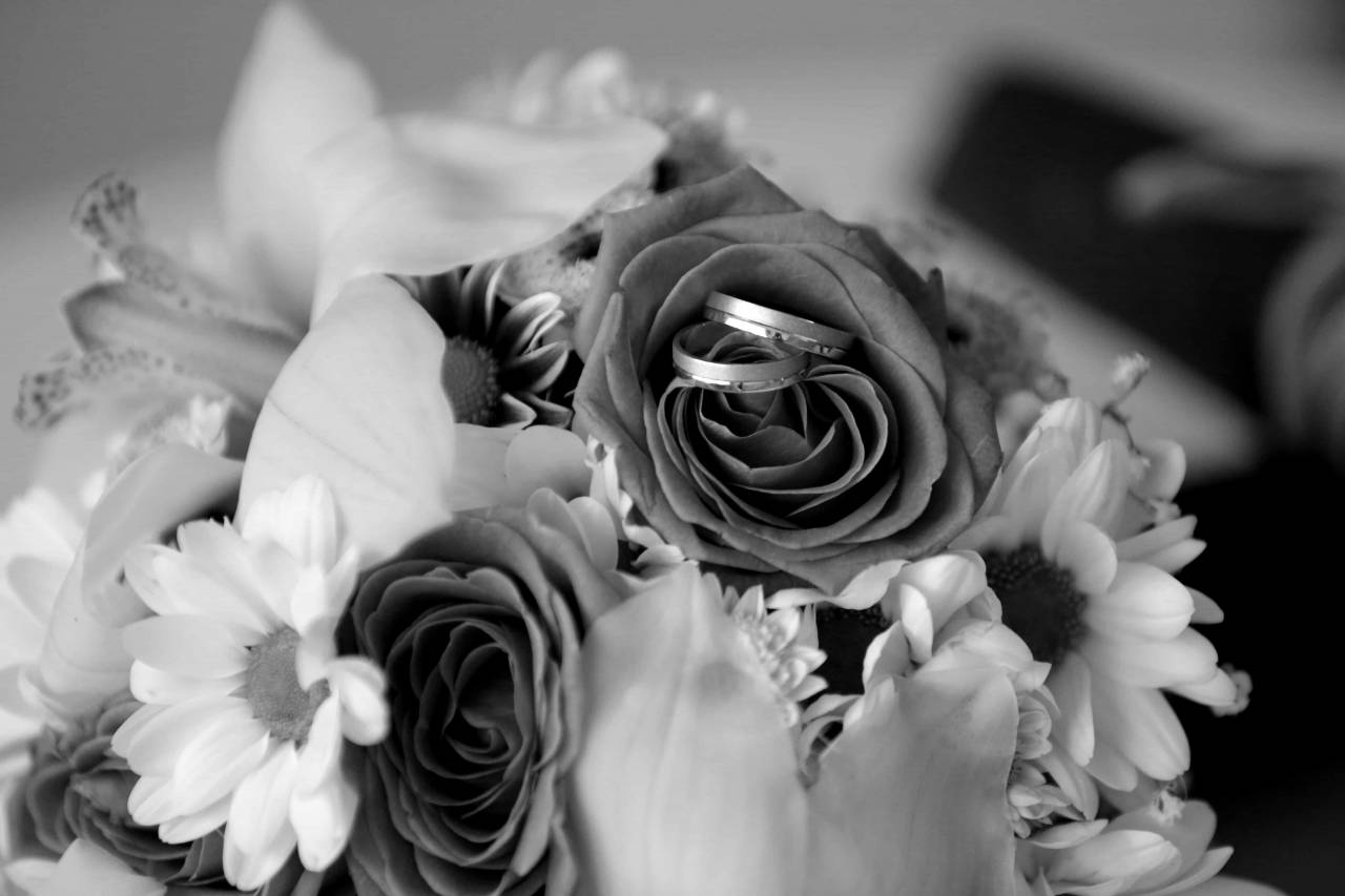 decoration flower rose bouquet ring jewelry arrangement roses  — free black and white photo