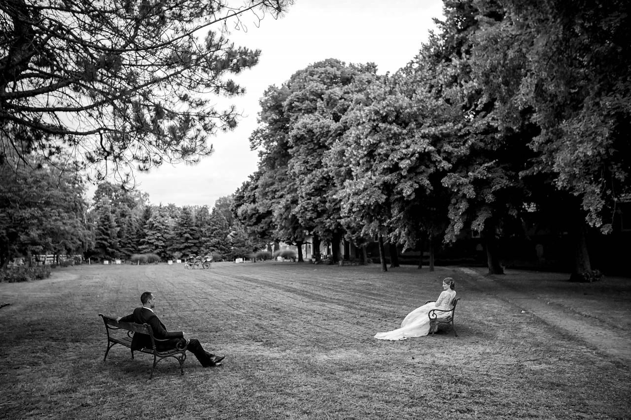 distance man social woman isolation park tree conversation grass bench self  — free black and white photo