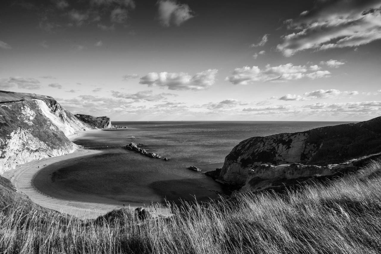 Jurassic Landscape  — free black and white photo