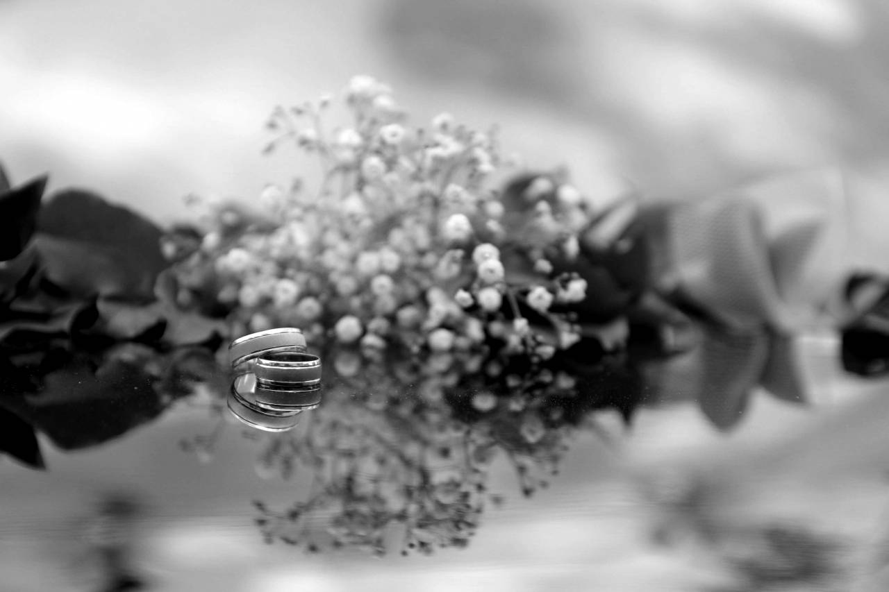 reflection platinum metallic rings jewelry herb environment transparent ring flower wedding — free black and white photo