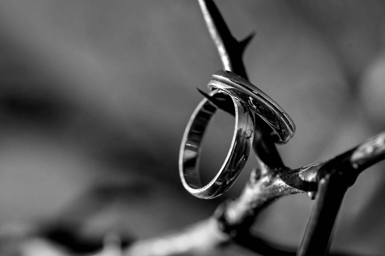 rings thorn branch ring jewelry acacia blur glow outdoors golden — free black and white photo