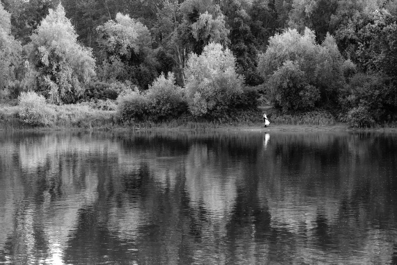 riverbank river landscape reflection bride national park lake tree water  — free black and white photo