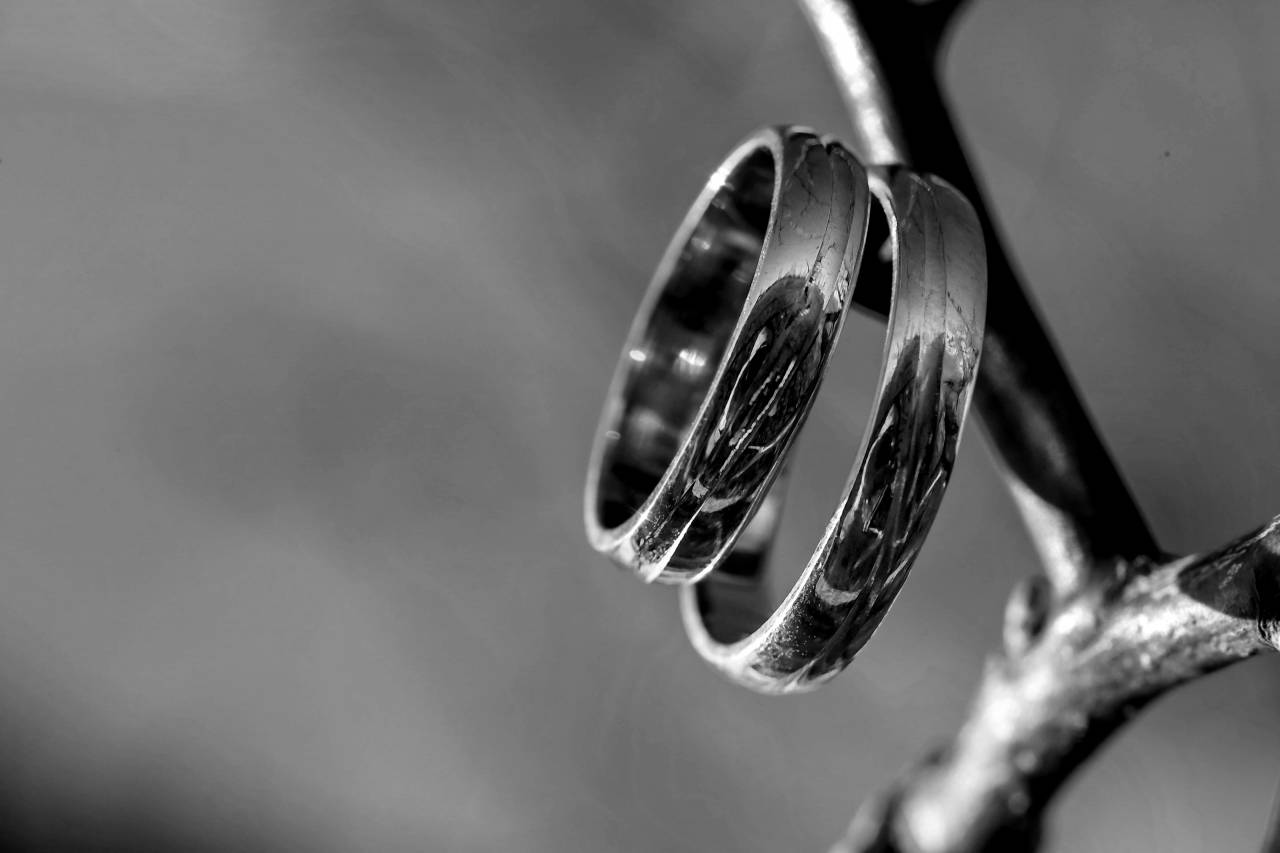 shine close sunrays platinum pair rings metal reflection branches golden  — free black and white photo