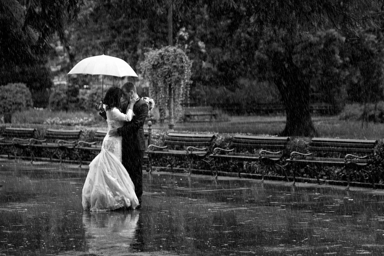 street pretty umbrella enjoying groom happiness bride rain — free black and white photo
