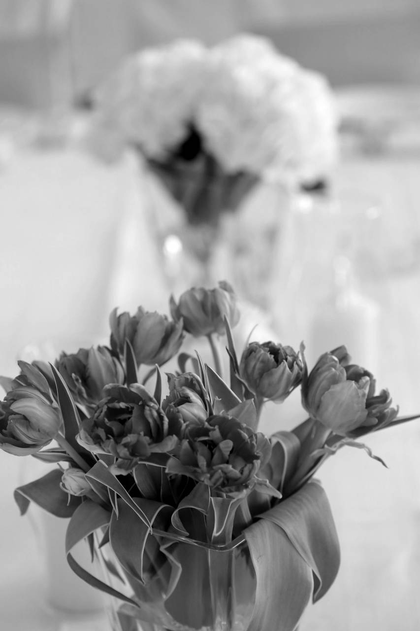 tulips table stem elegance vase leaves romance decoration  — free black and white photo