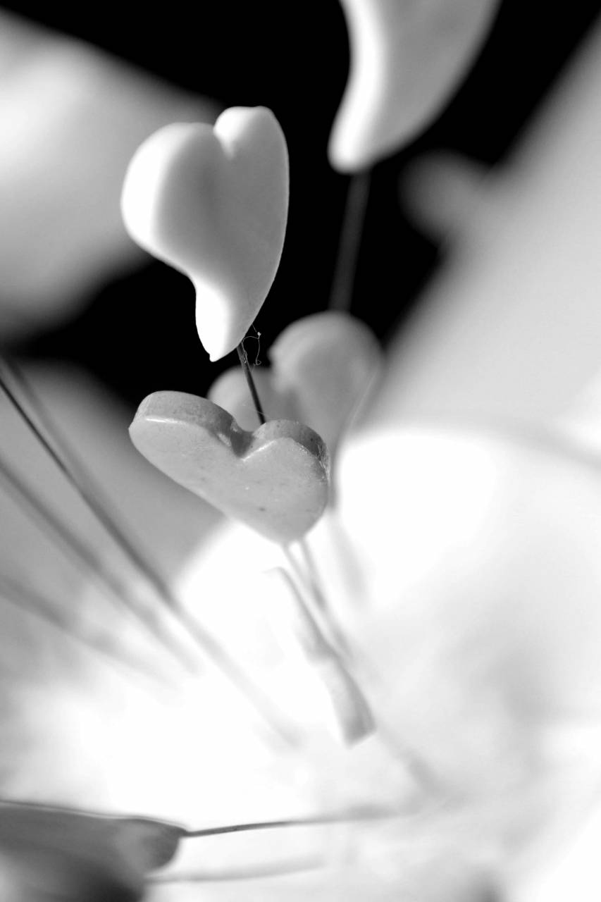 wedding sticks hearts cake close food blur indoors sugar sweet — free black and white photo