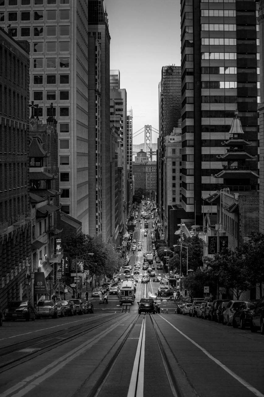   pedestrian  road  skyline  traffic  street  — free black and white photo