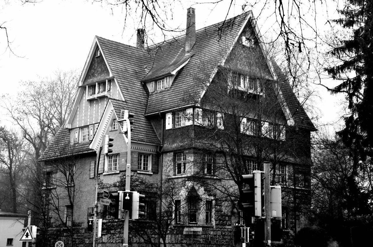   tree  cold  winter  architecture  antique  — free black and white photo