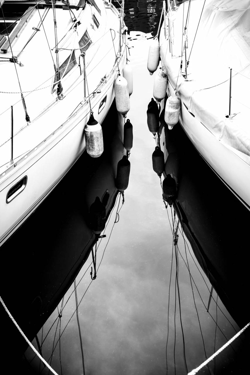   beach  sea  coast  water  black and white  — free black and white photo