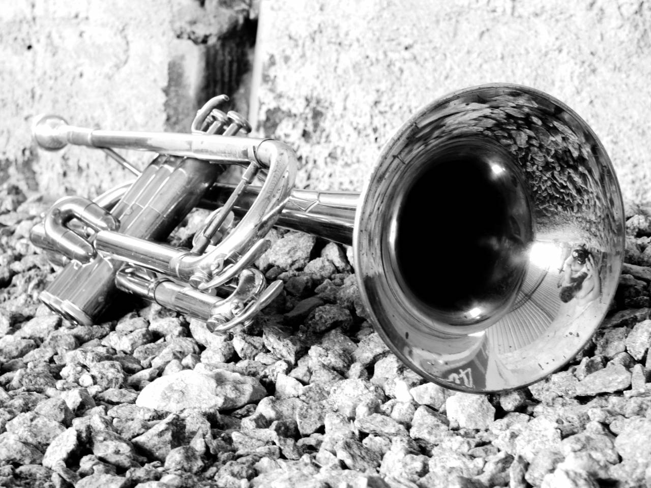   music  black and white  wheel  vehicle  — free black and white photo