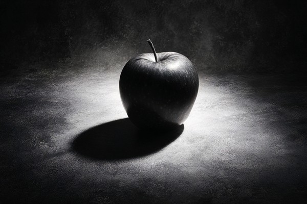 black and white picture of an apple centered composition high — black and white photo