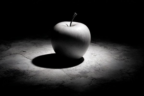 black and white picture of an apple centered composition high — black and white photo