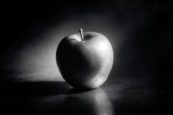 black and white picture of an apple shot on hasselblad 500cm — black and white photo