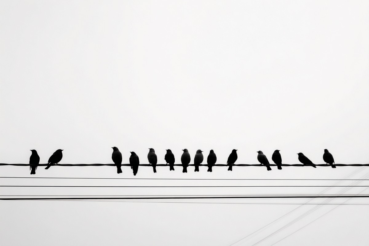 silhouettes high contrast graphic composition silhouettes of — free black and white photo