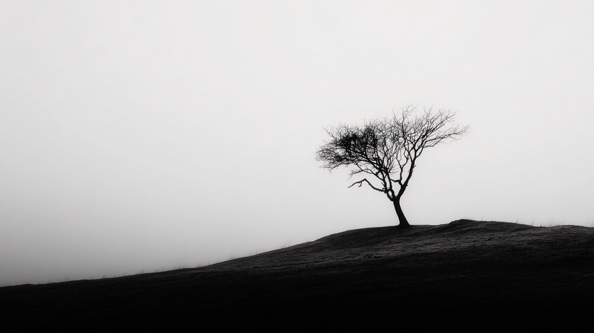 silhouettes minimalist photograph silhouette of a single dead — free black and white photo