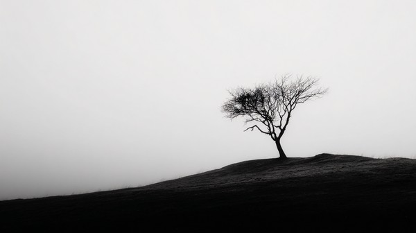 silhouettes minimalist photograph silhouette of a single dead — black and white photo