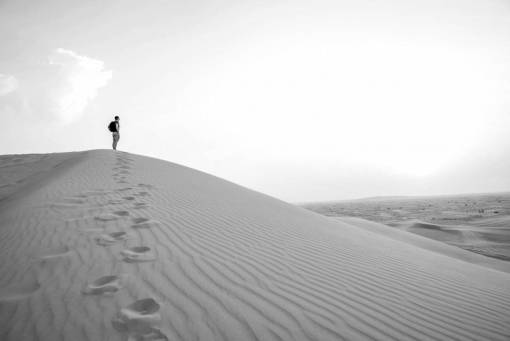 Walking In The Desert 