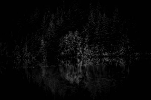 Dark Dawn Lake Forest Free Stock Photo - NegativeSpace