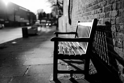 Park Bench During the Golden Hour Free Stock Photo 