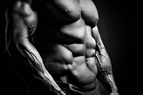 abdominal muscle sport torso men muscular build body building human muscle