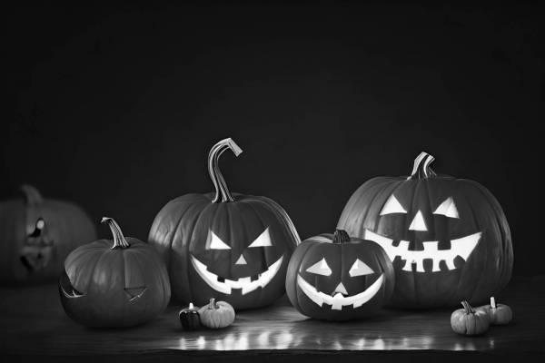 celebration pumpkin spooky october autumn lantern halloween