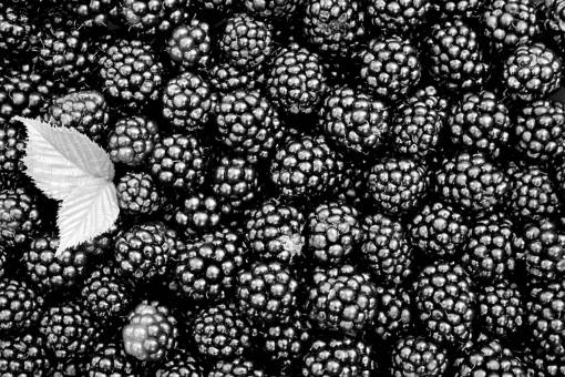   fruit  berry  dark  pattern  food  produce 
