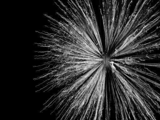   sparkler  pyrotechnics  explosion  fireworks 