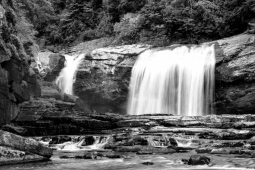   tree  rock  waterfall  fall  river  stone 