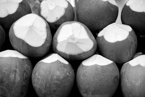 Tropical Coconuts 