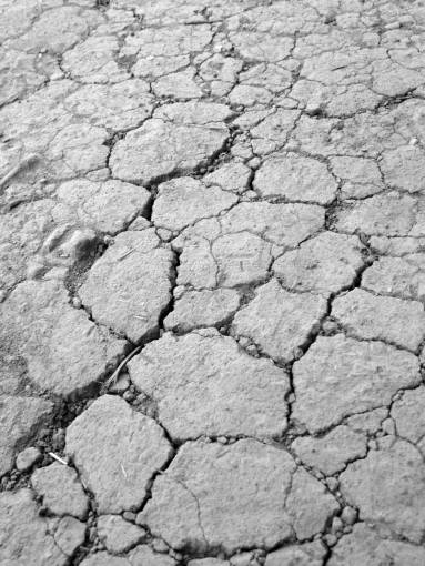   nature  ground  texture  arid  desert  floor 