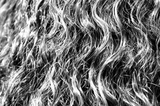   branch  hair  material  close up  women 