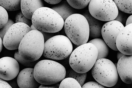 Easter Eggs Sweets  — black and white photo